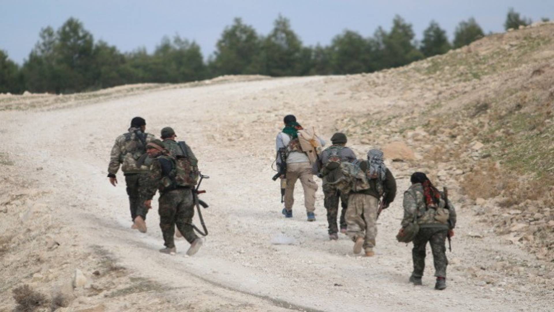 ارشيفية