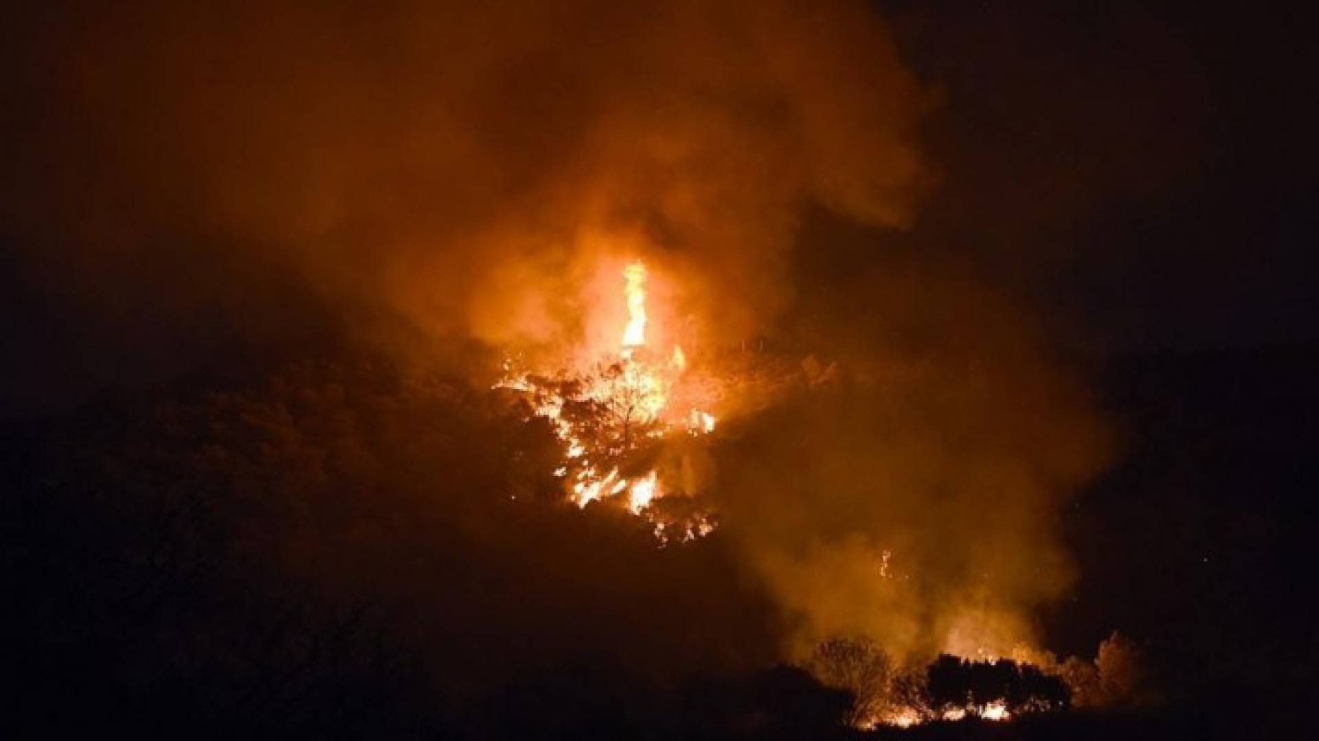 حرائق غابات في تونس