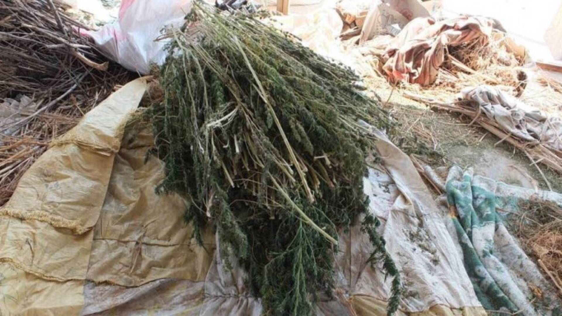 جانب من المواد المضبوطة