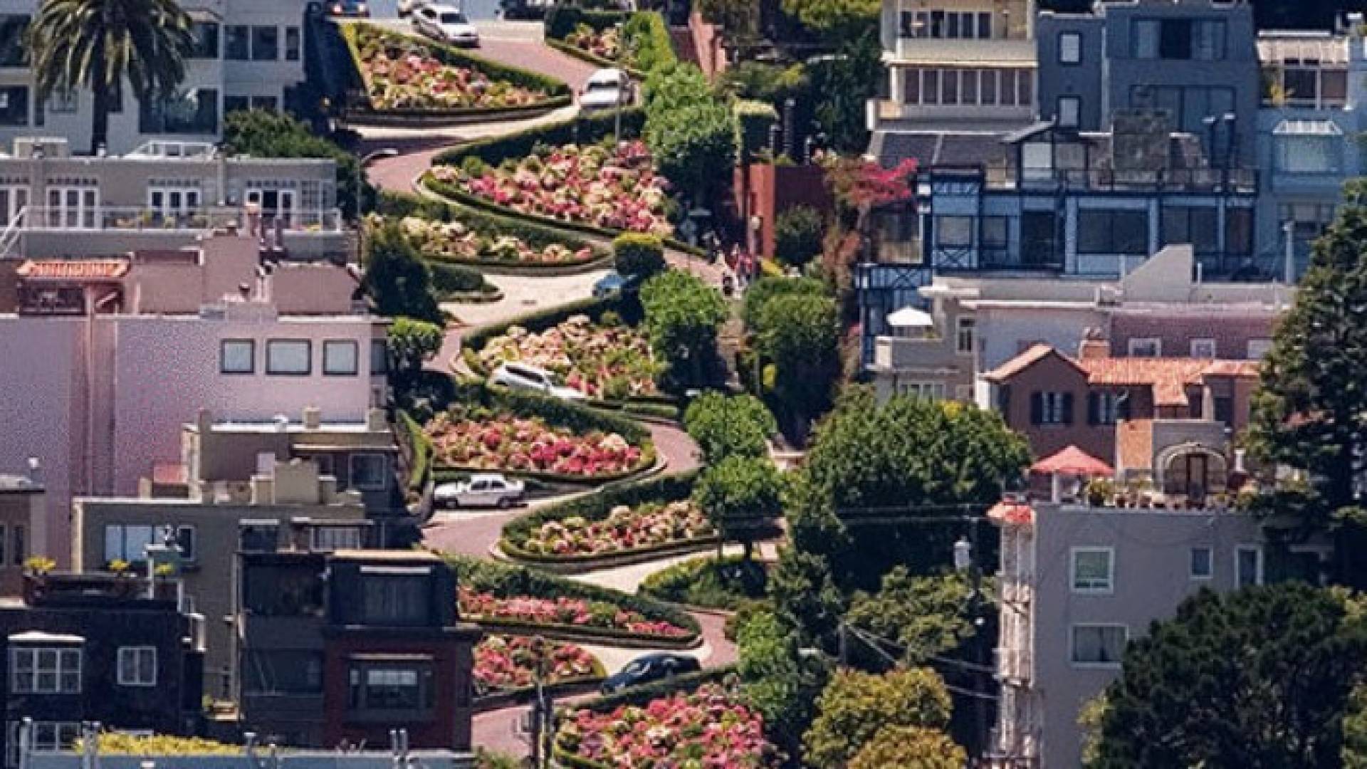 أحد شوارع سان فرانسيسكو