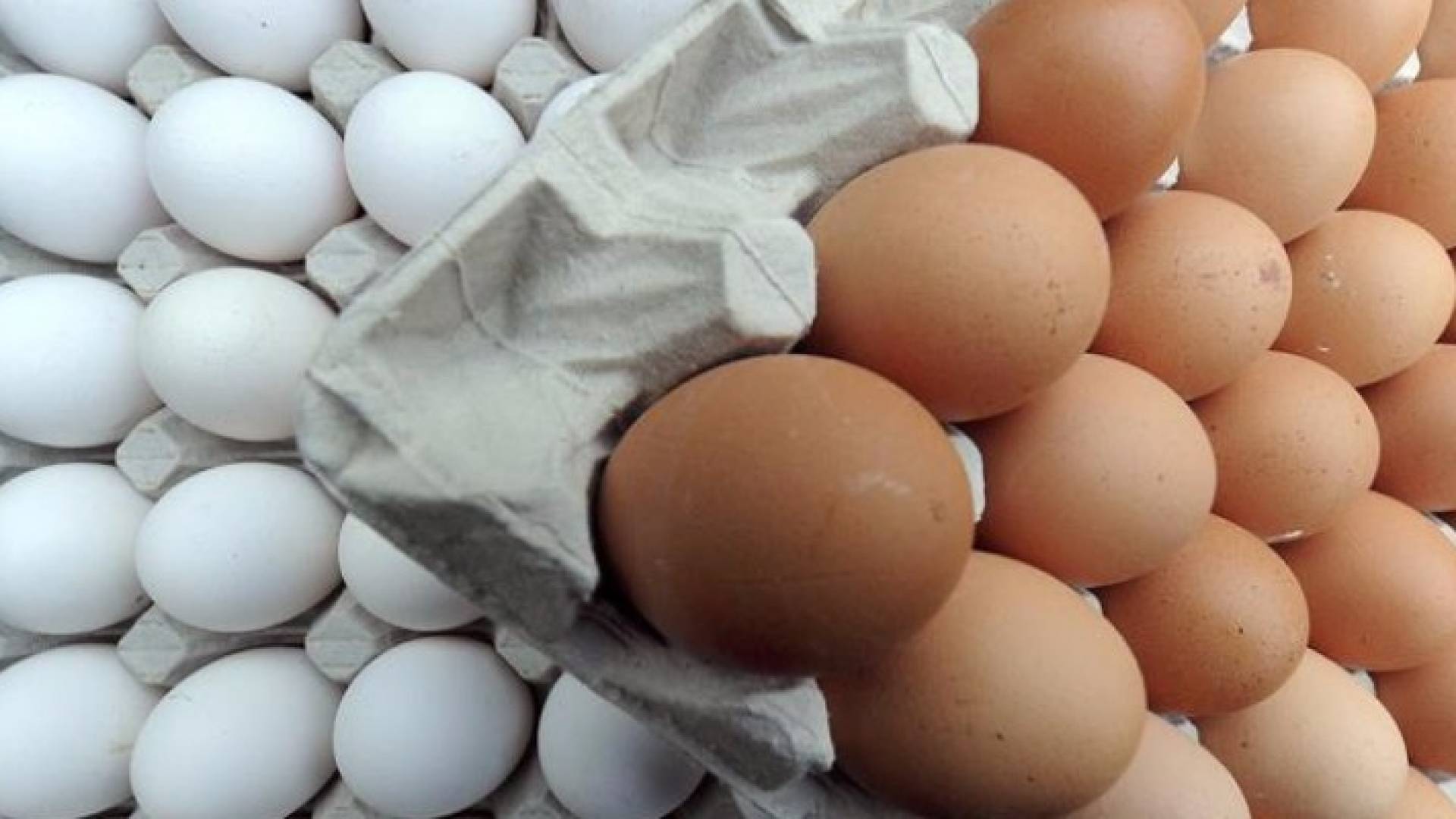 أطباق بيض 