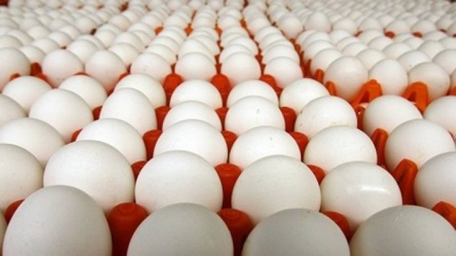 الصورة أرشيفية 