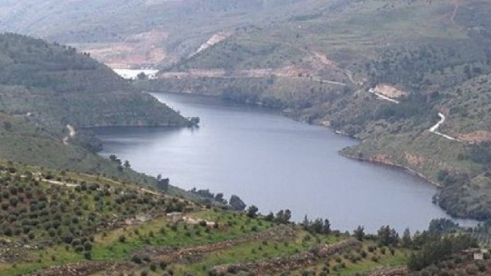 تعبيرية