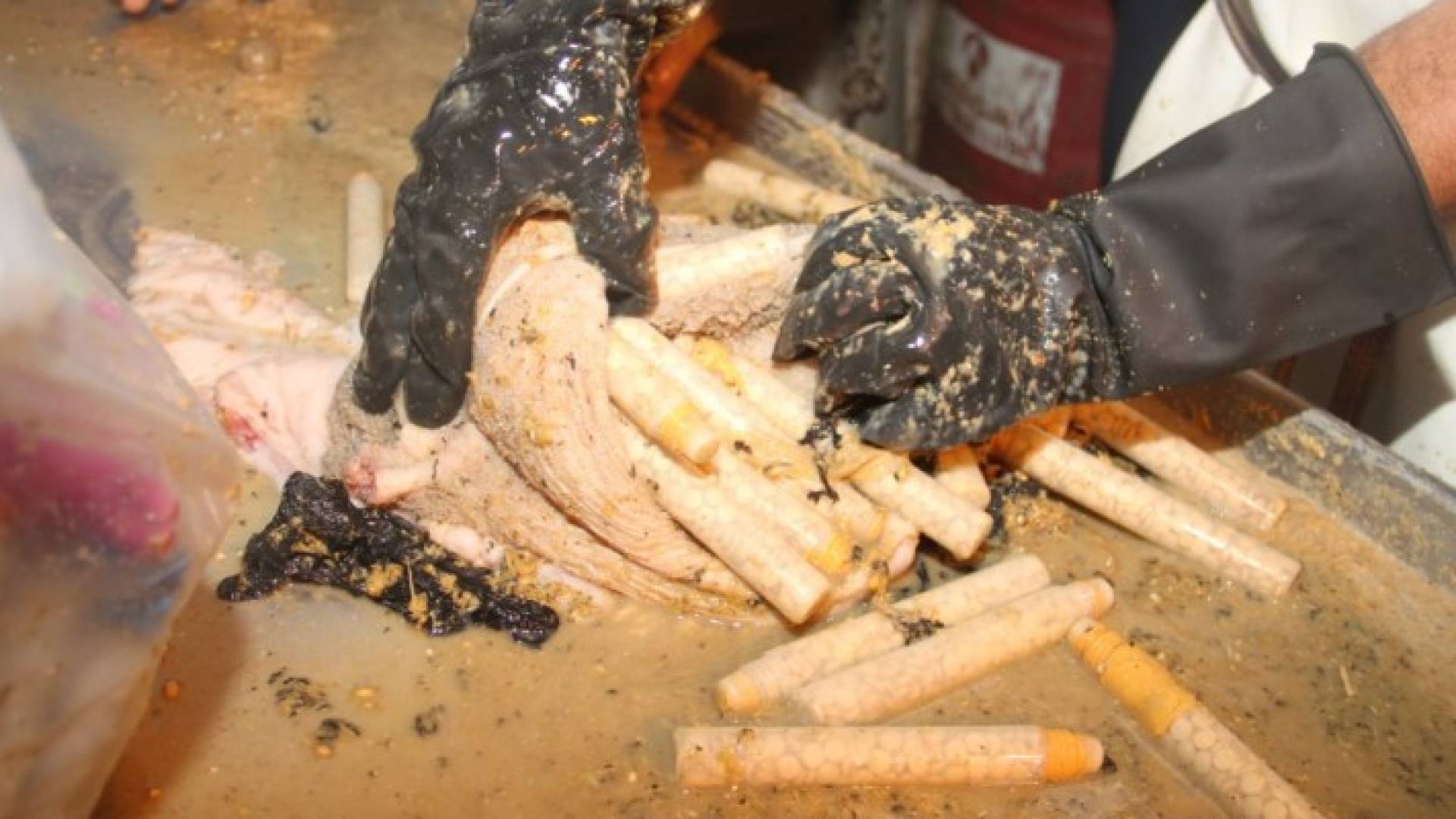 احباط تهريب مليون حبة مخدرة كانت مخبأة داخل أحشاء أغنام