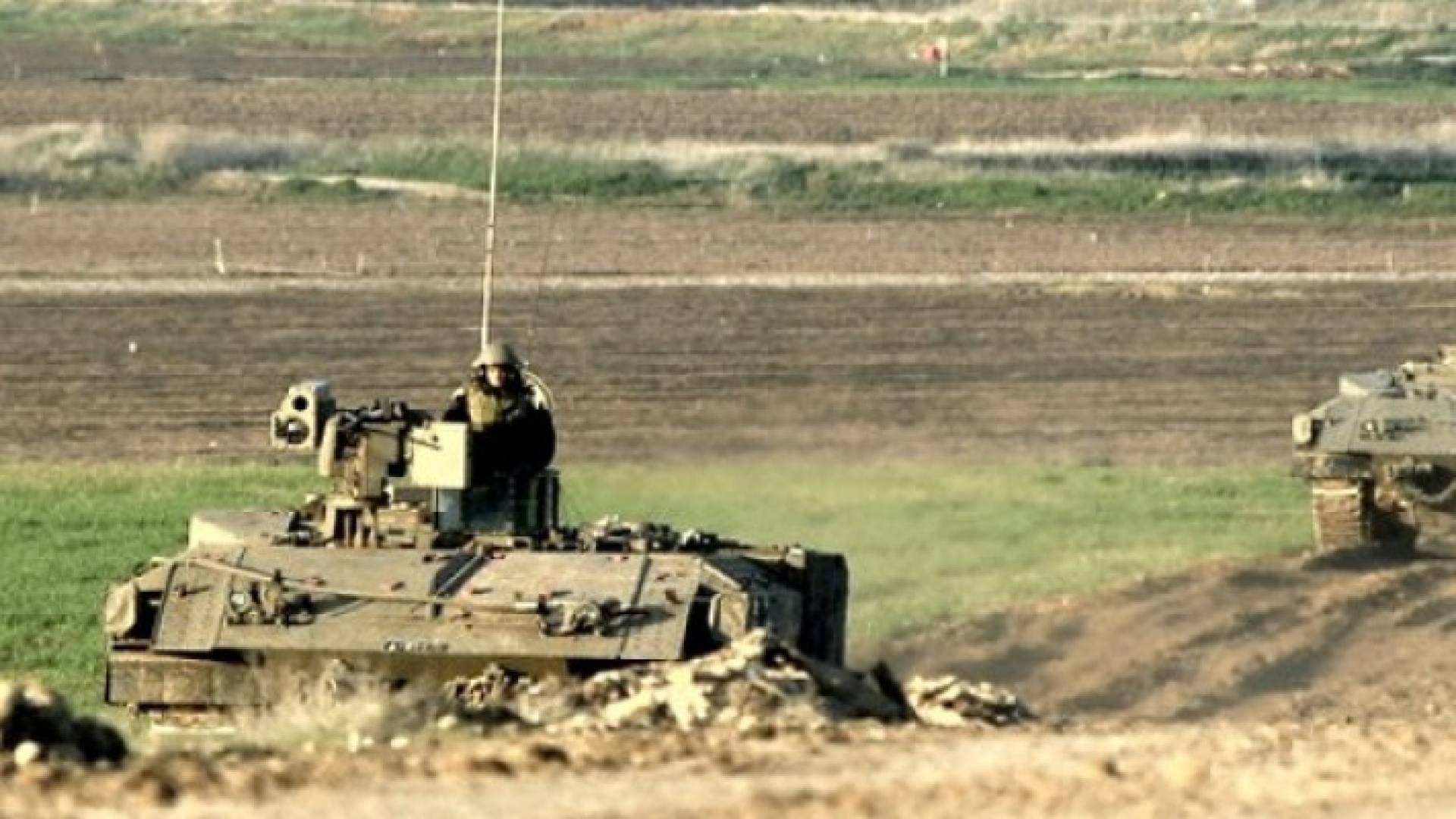ارشيفية