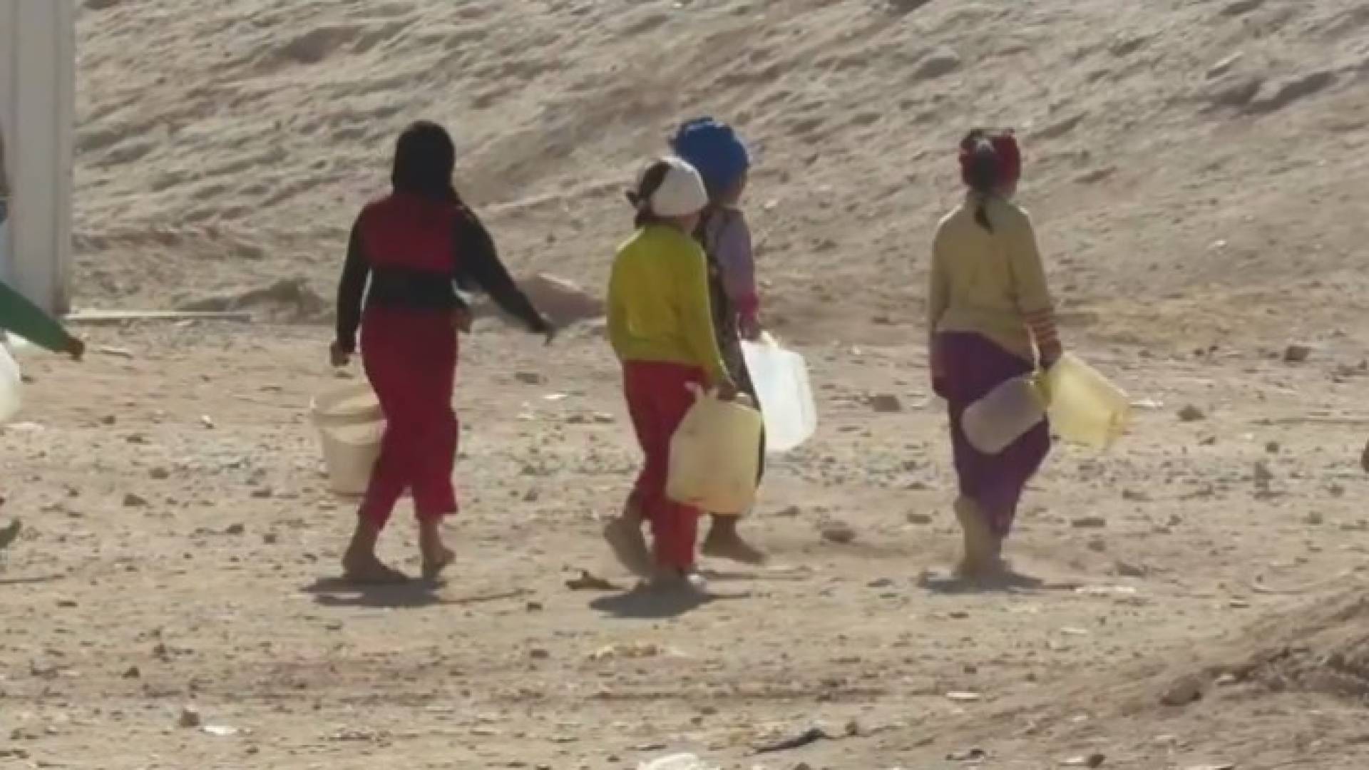 ارشيفية