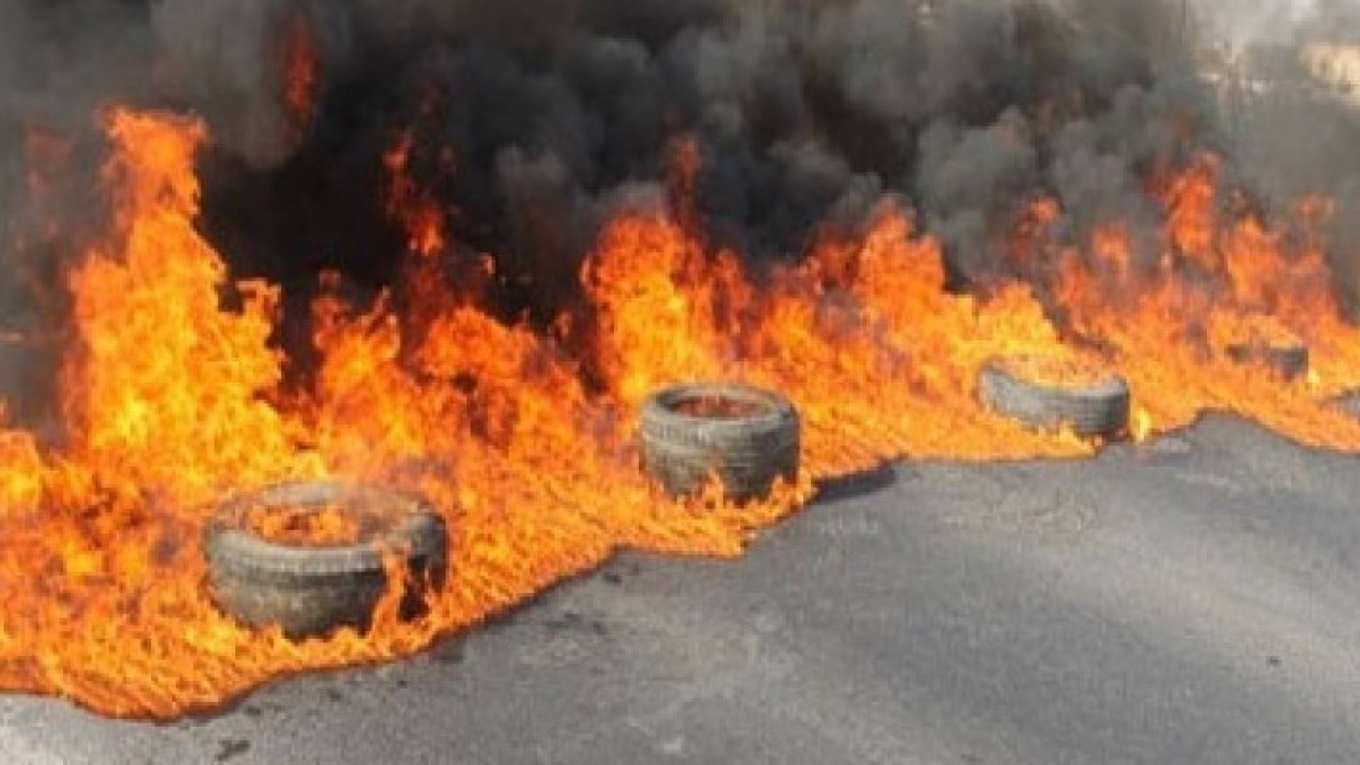 ارشيفية