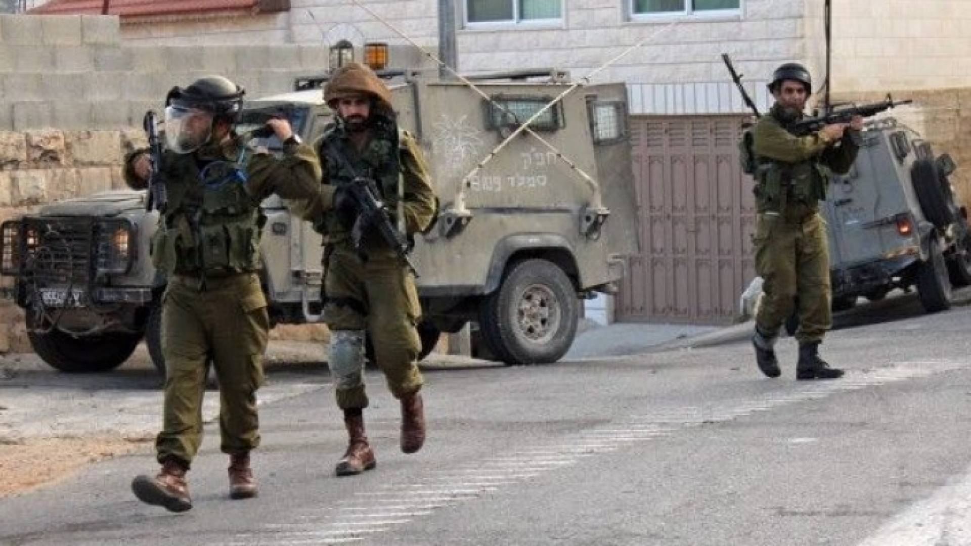 ارشيفية