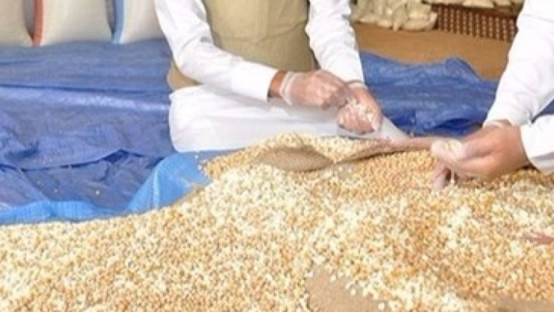 كميات من الكابتاغون