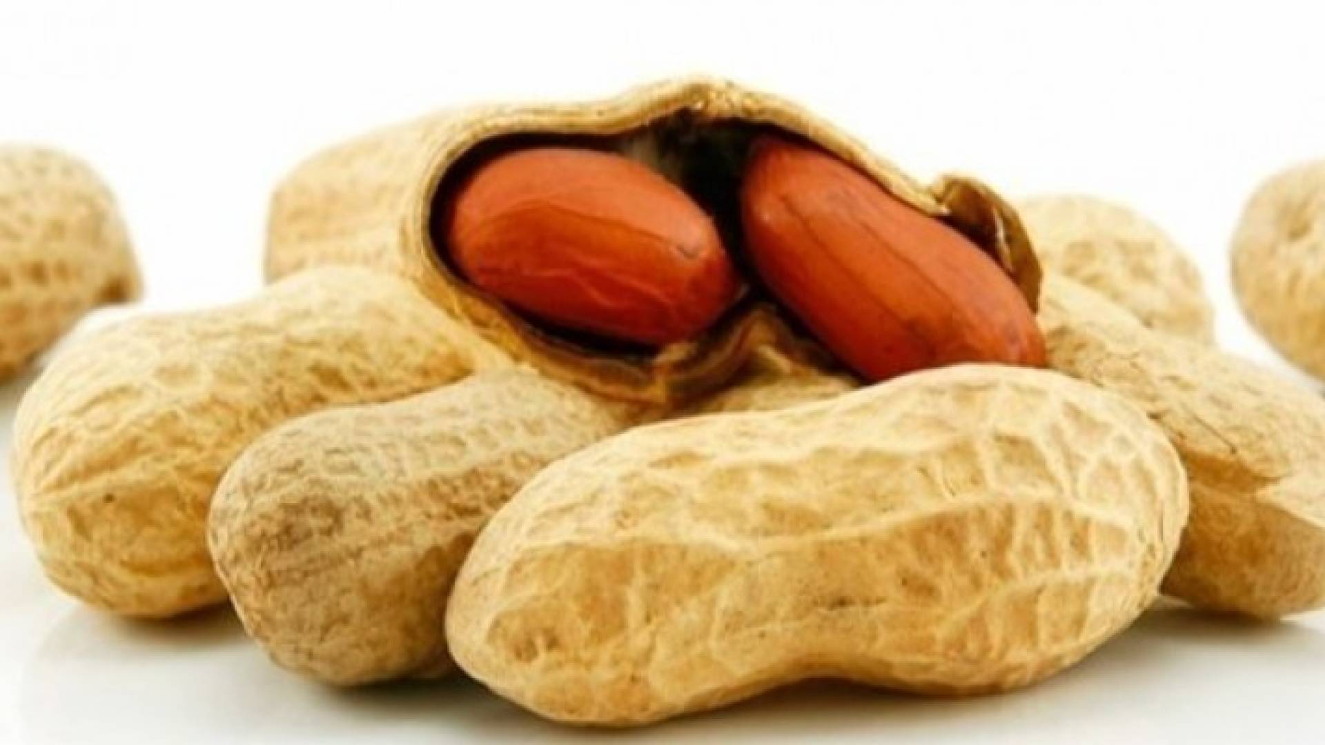 ارشيفية