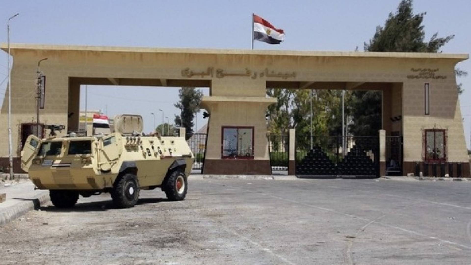 ارشيفية
