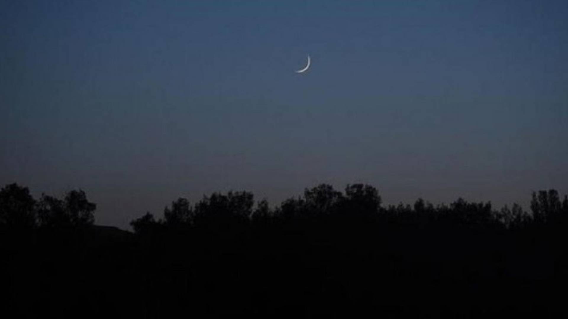 الصورة أرشيفية