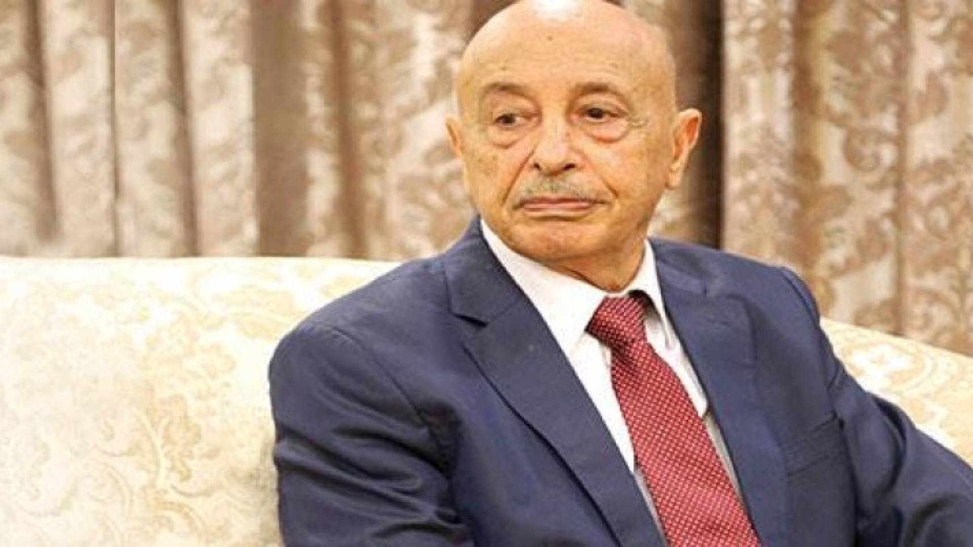 رئيس مجلس النواب الليبي، عقيلة صالح