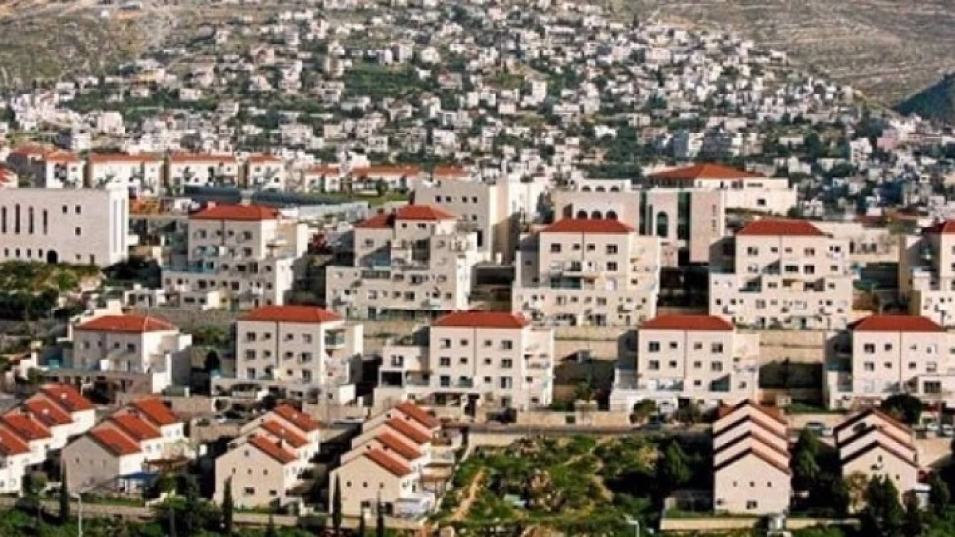 ارشيفية