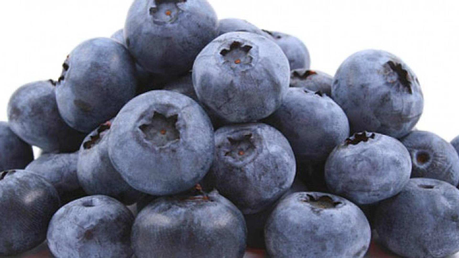 يحتاج جسم الإنسان إلى فيتامين D للحفاظ على استرخاء العضلات