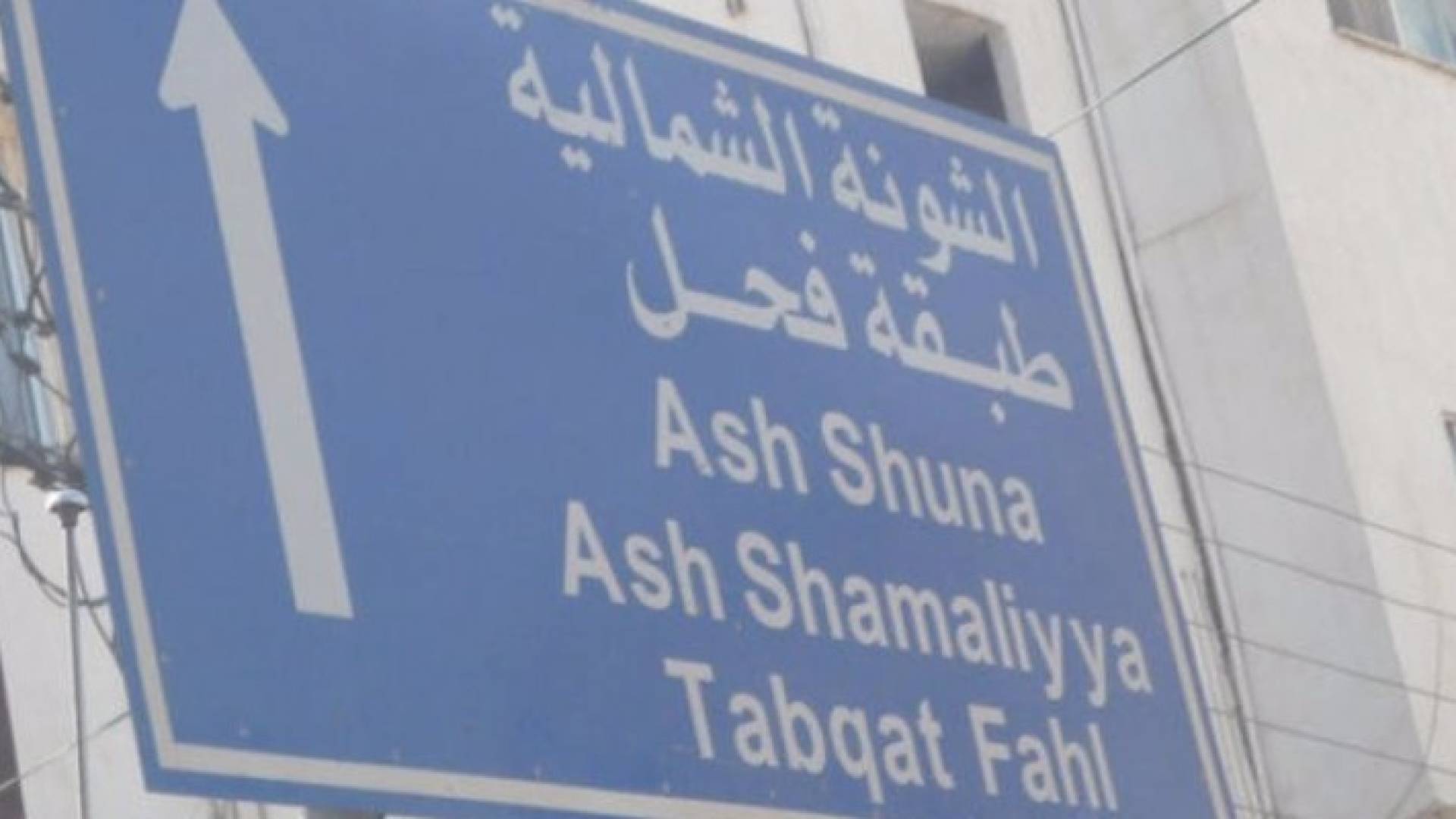 ارشيفية