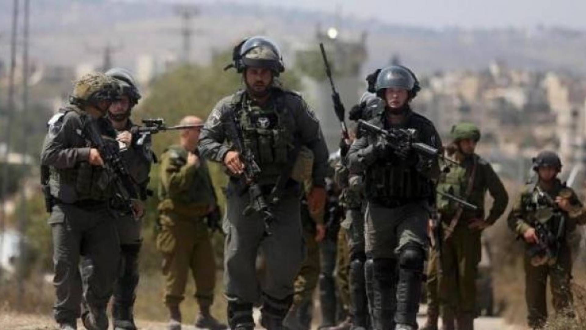 ارشيفية