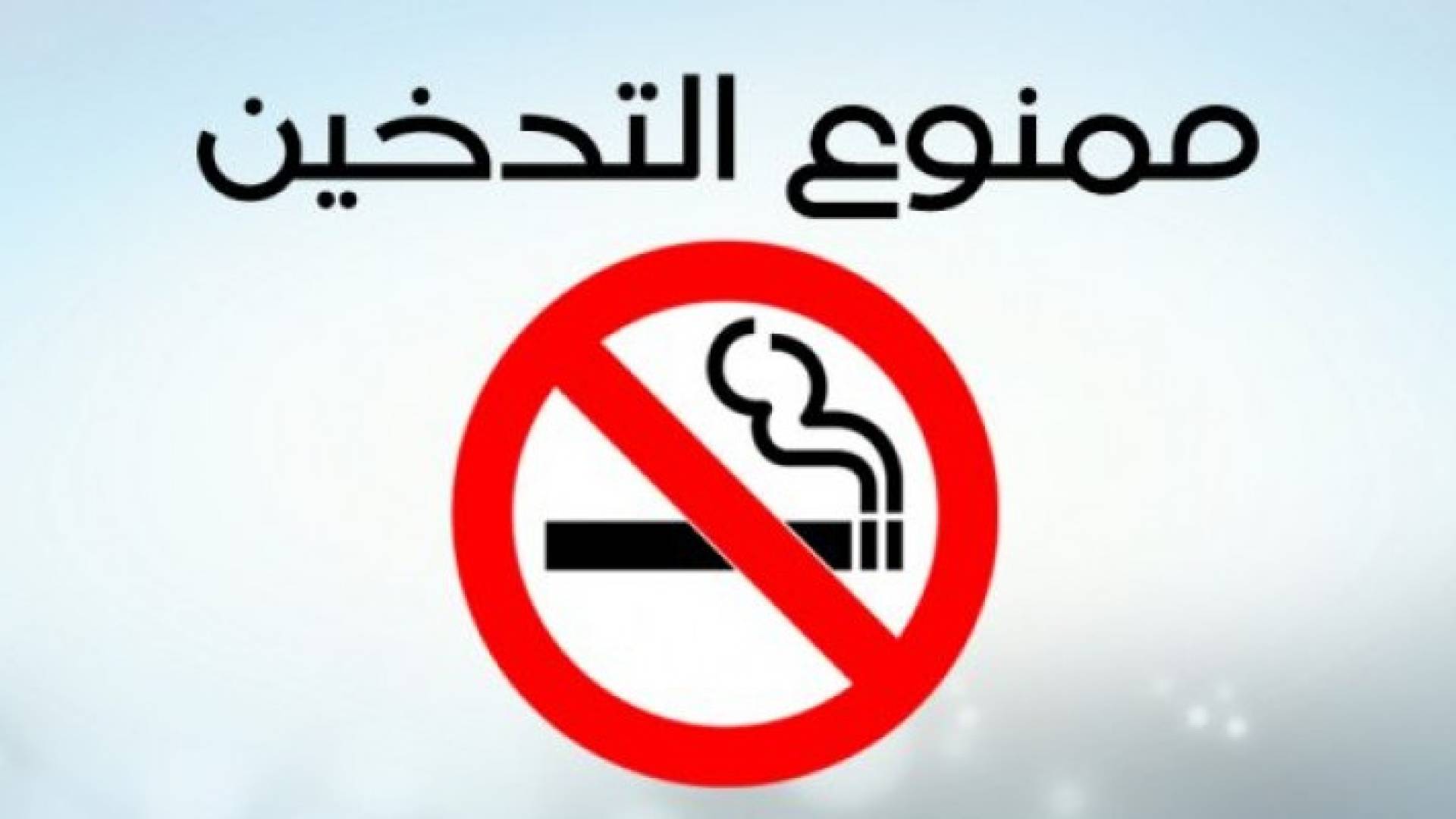 ارشيفية