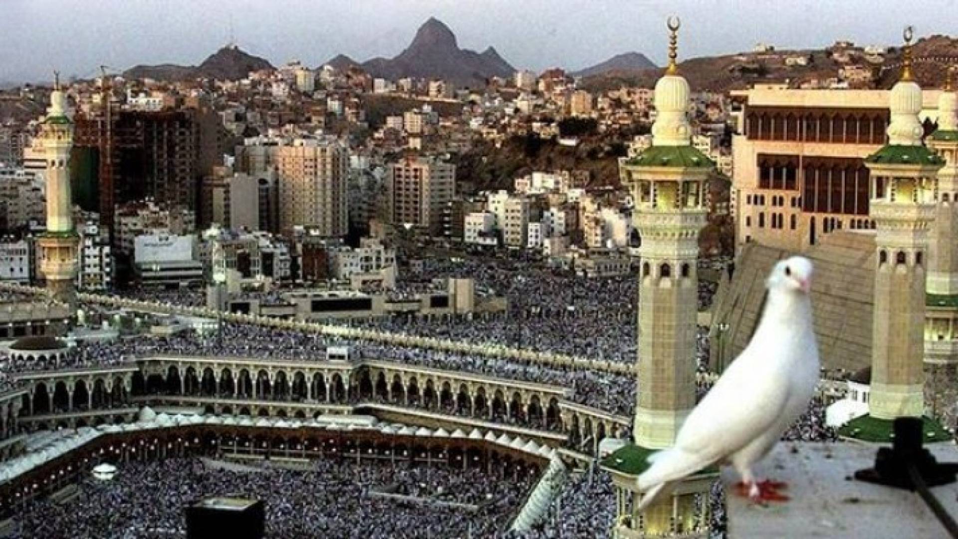 الصورة أرشيفية