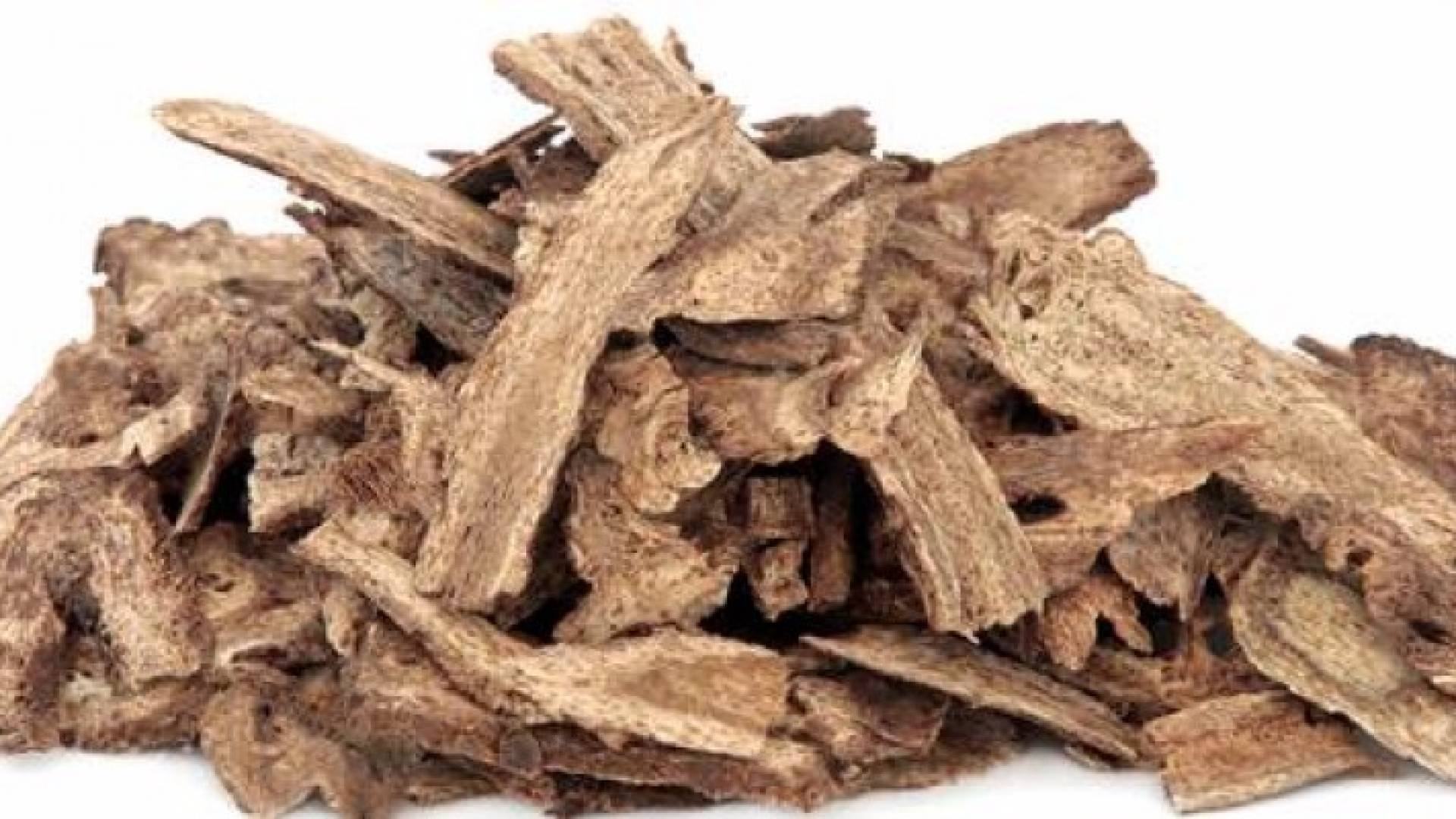 القسط الهندي 
