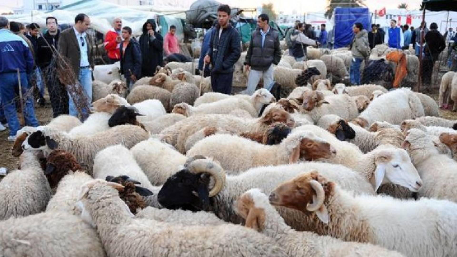 الصورة أرشيفية 