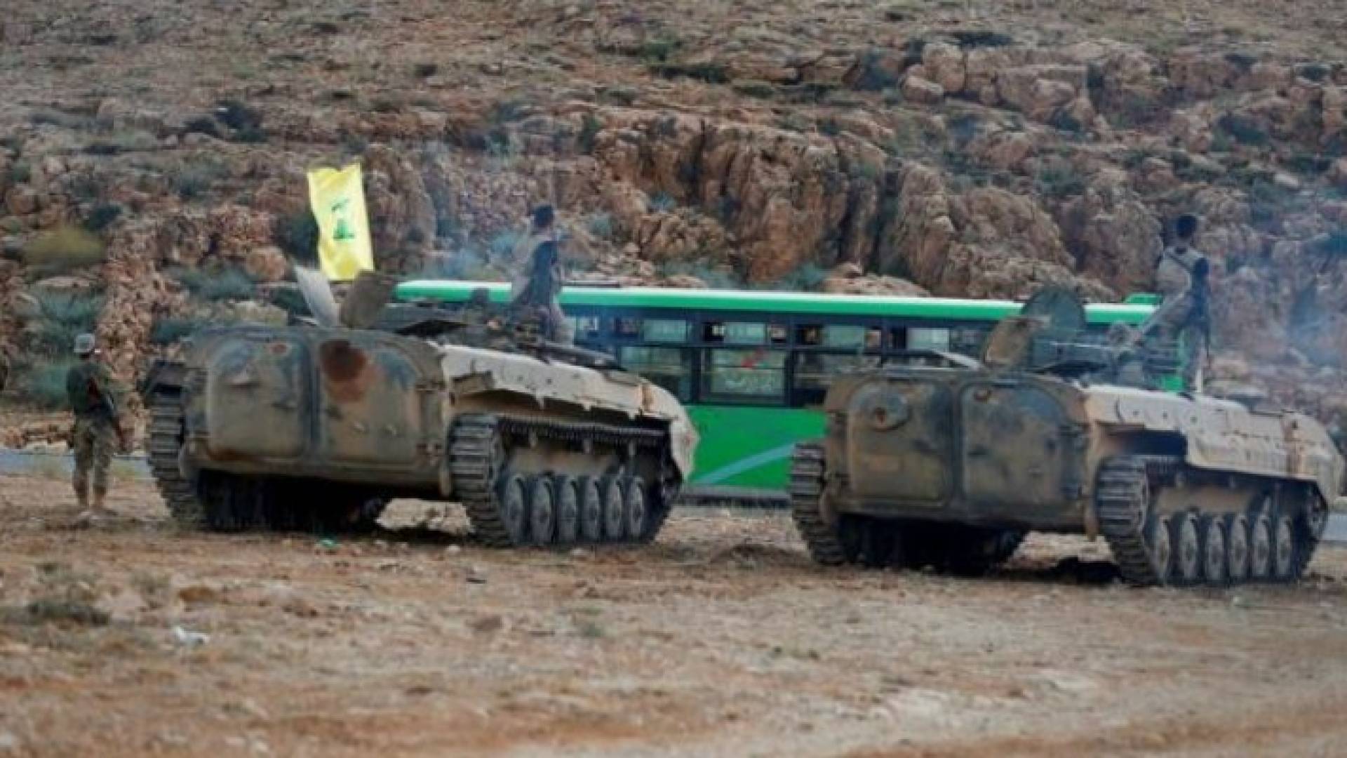ارشيفية