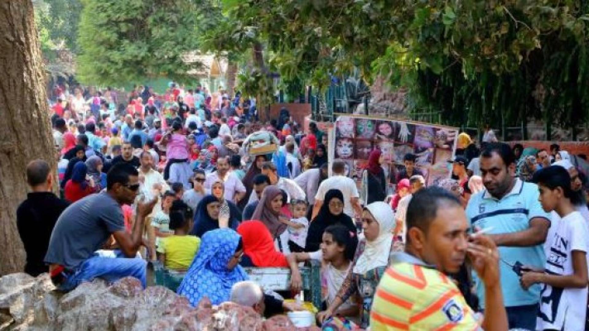 الصورة أرشيفية