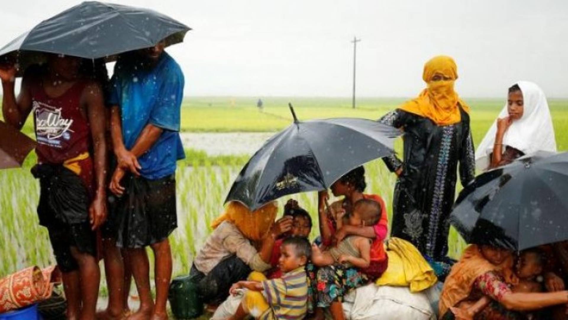 مقتل قرابة 400 مع تصعيد جيش ميانمار حملته ضد الروهينجا