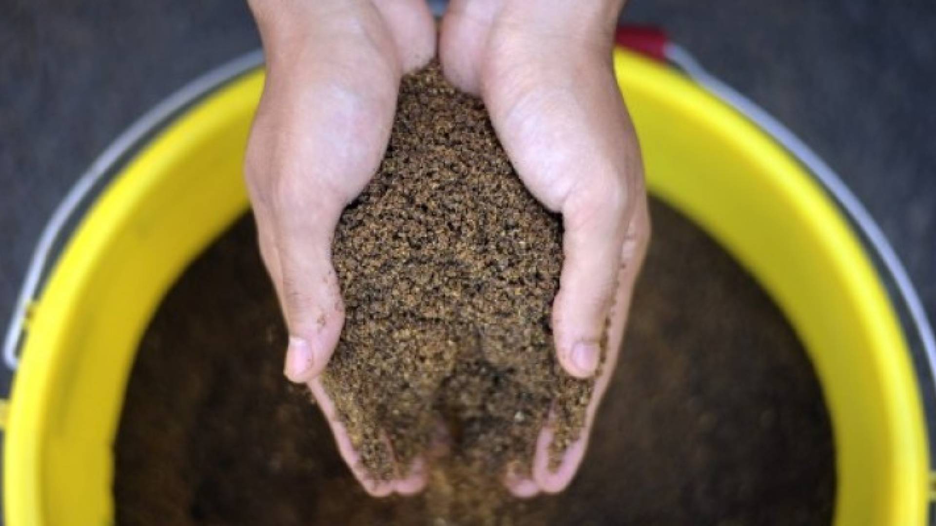 بذر الكتان يعمل على تحفيز الأنسجة المخاطية