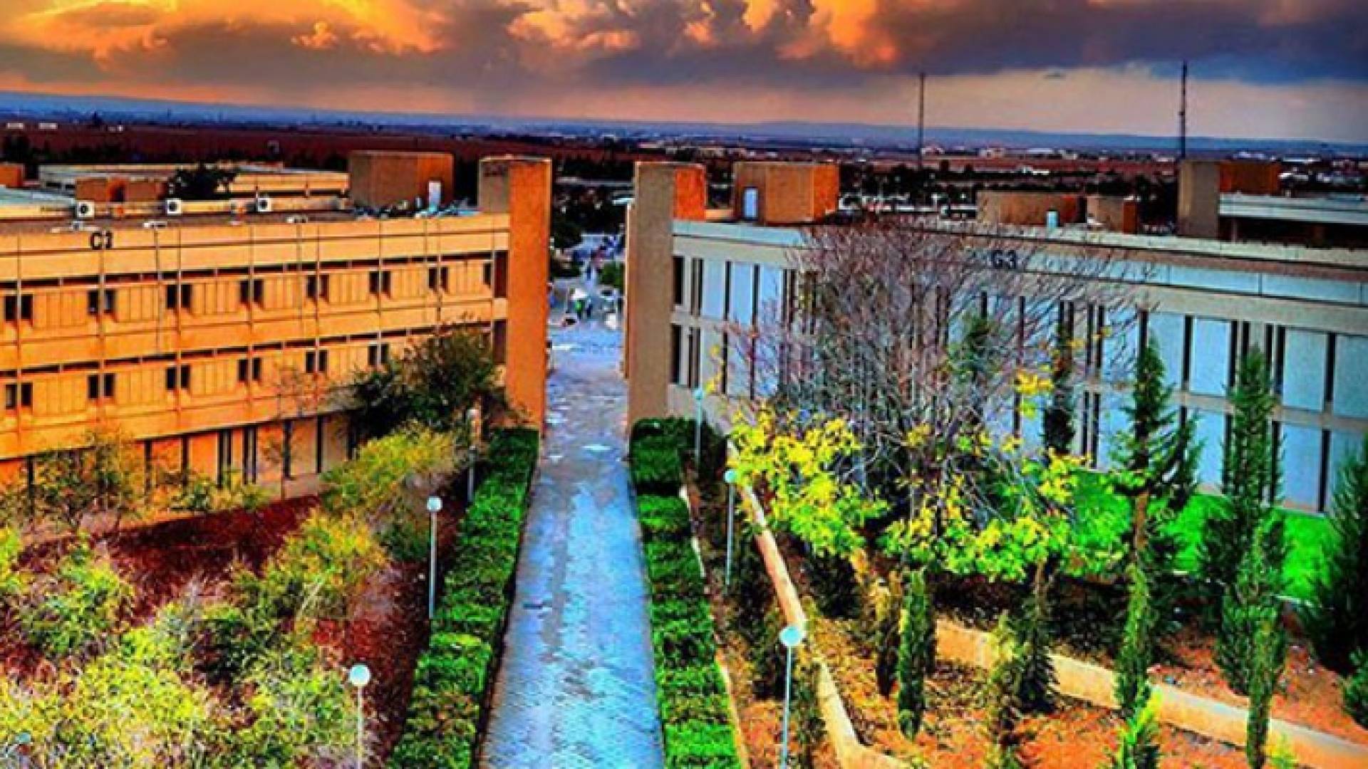 جامعة العلوم والتكنولوجيا- ارشيفية