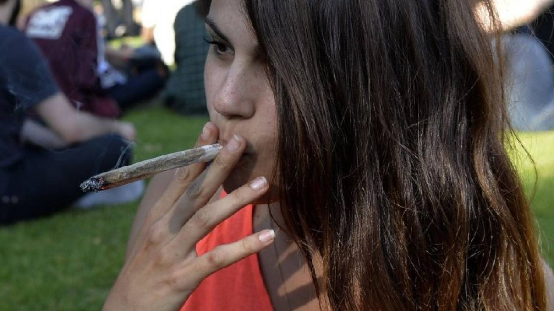 الأم زرعت 15 شتلة من المارايغونا