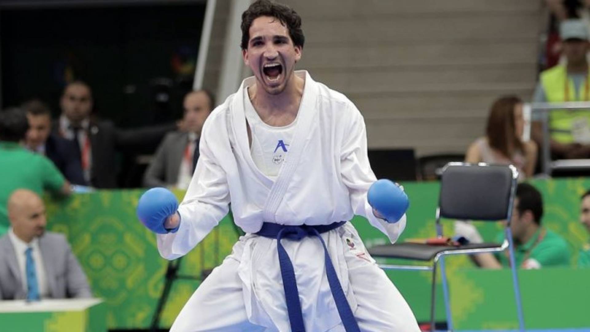 بشار النجار