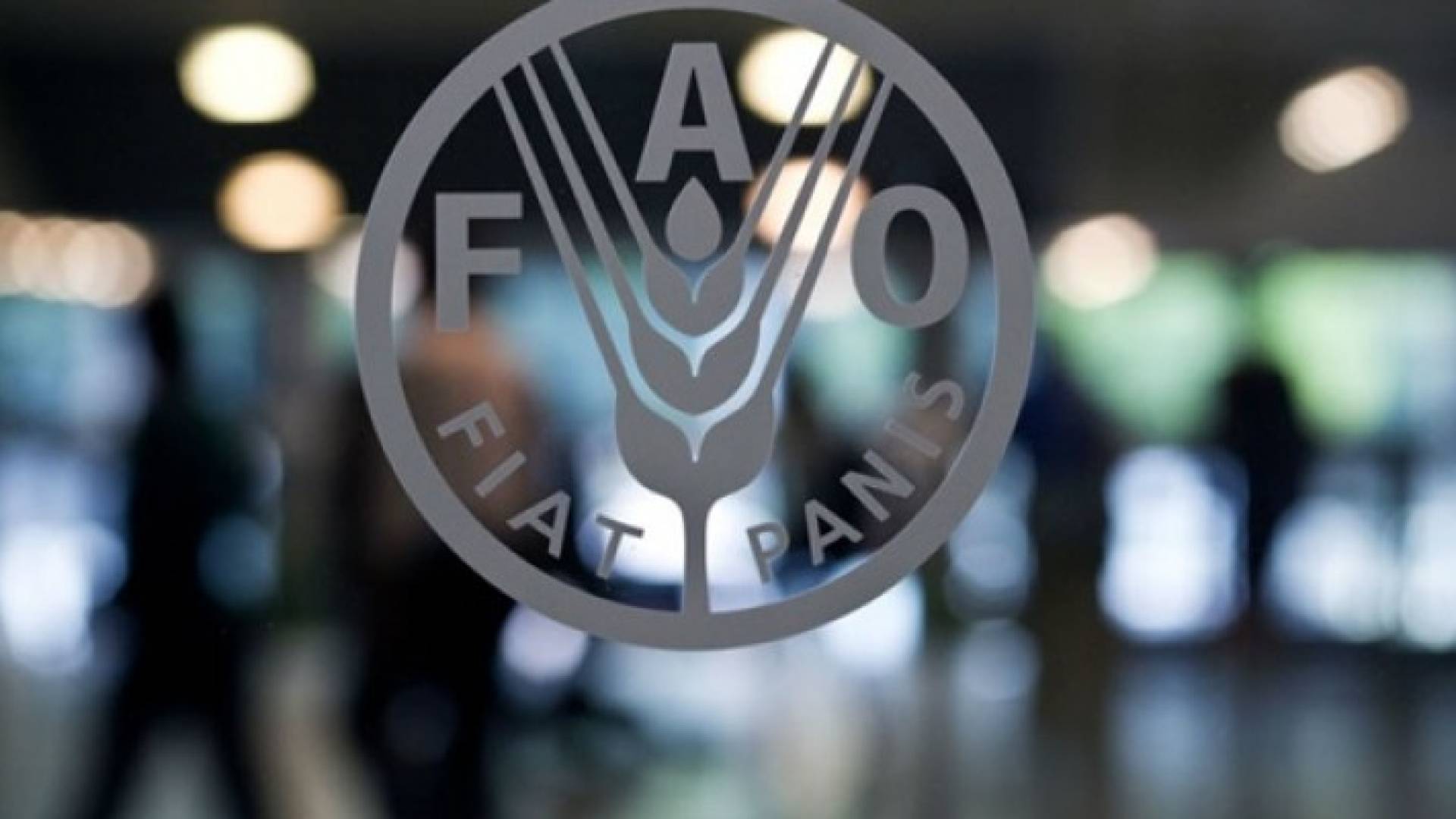 شعار منظمة الأغذية والزراعة "فاو"