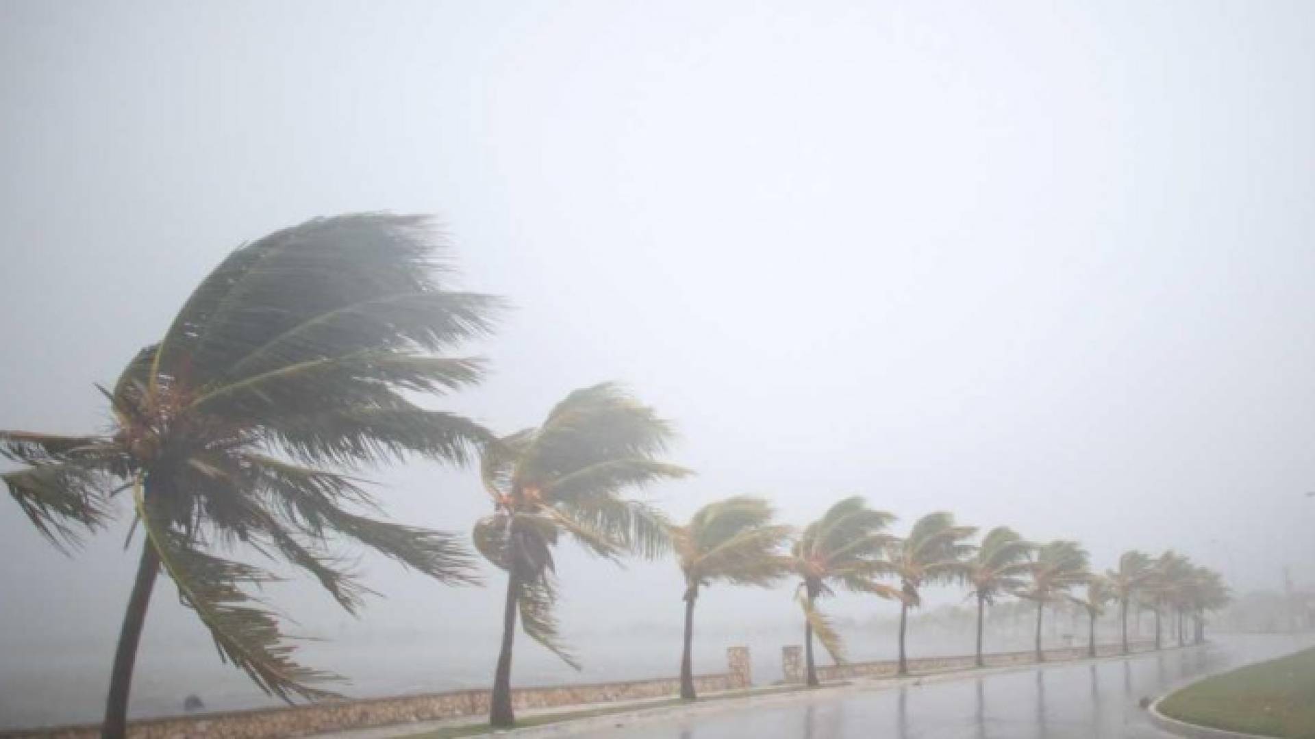 يرافق الإعصار إرما رياح قوية تبلغ سرعتها 300 كلم في الساعة