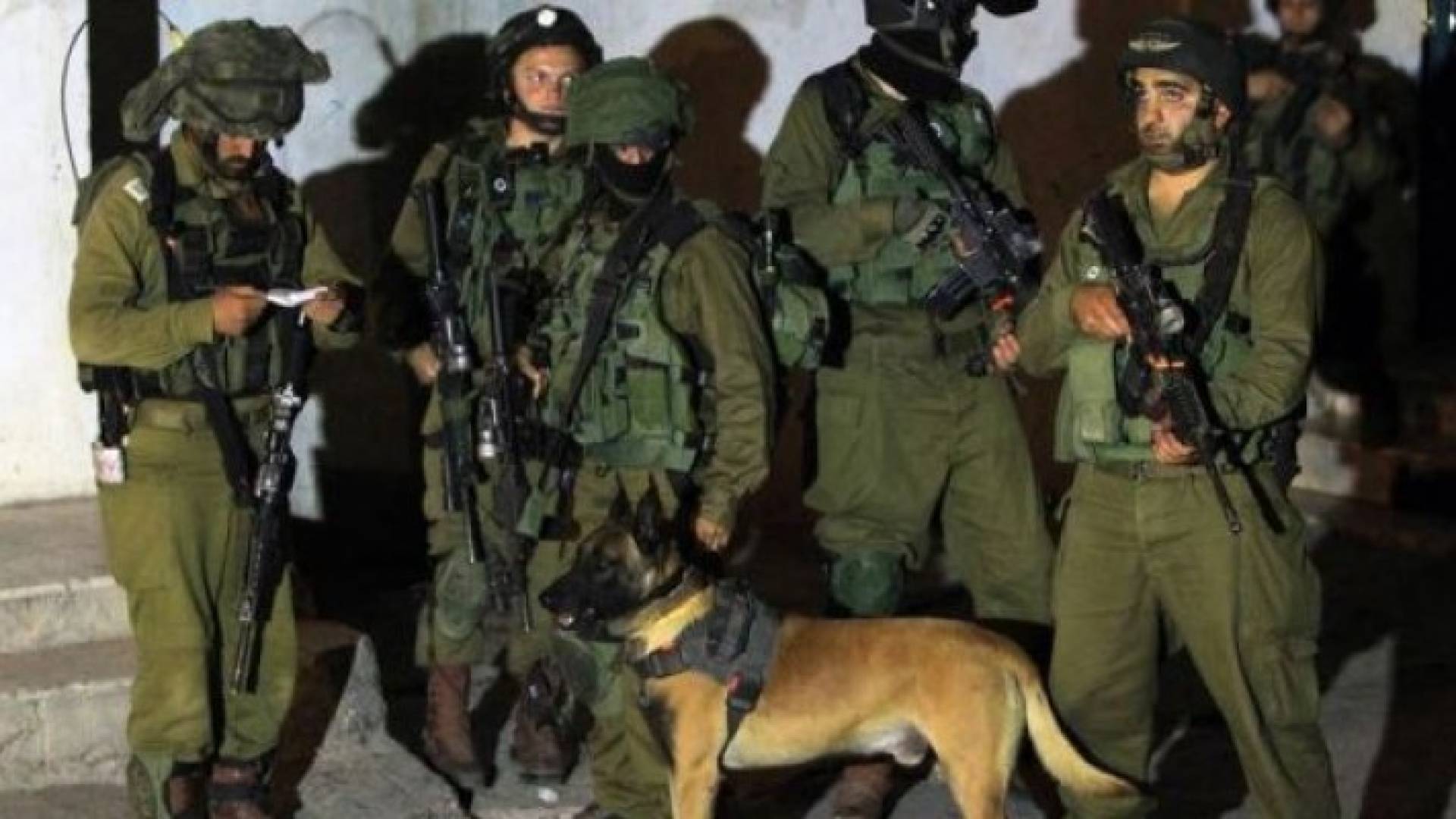ارشيفية