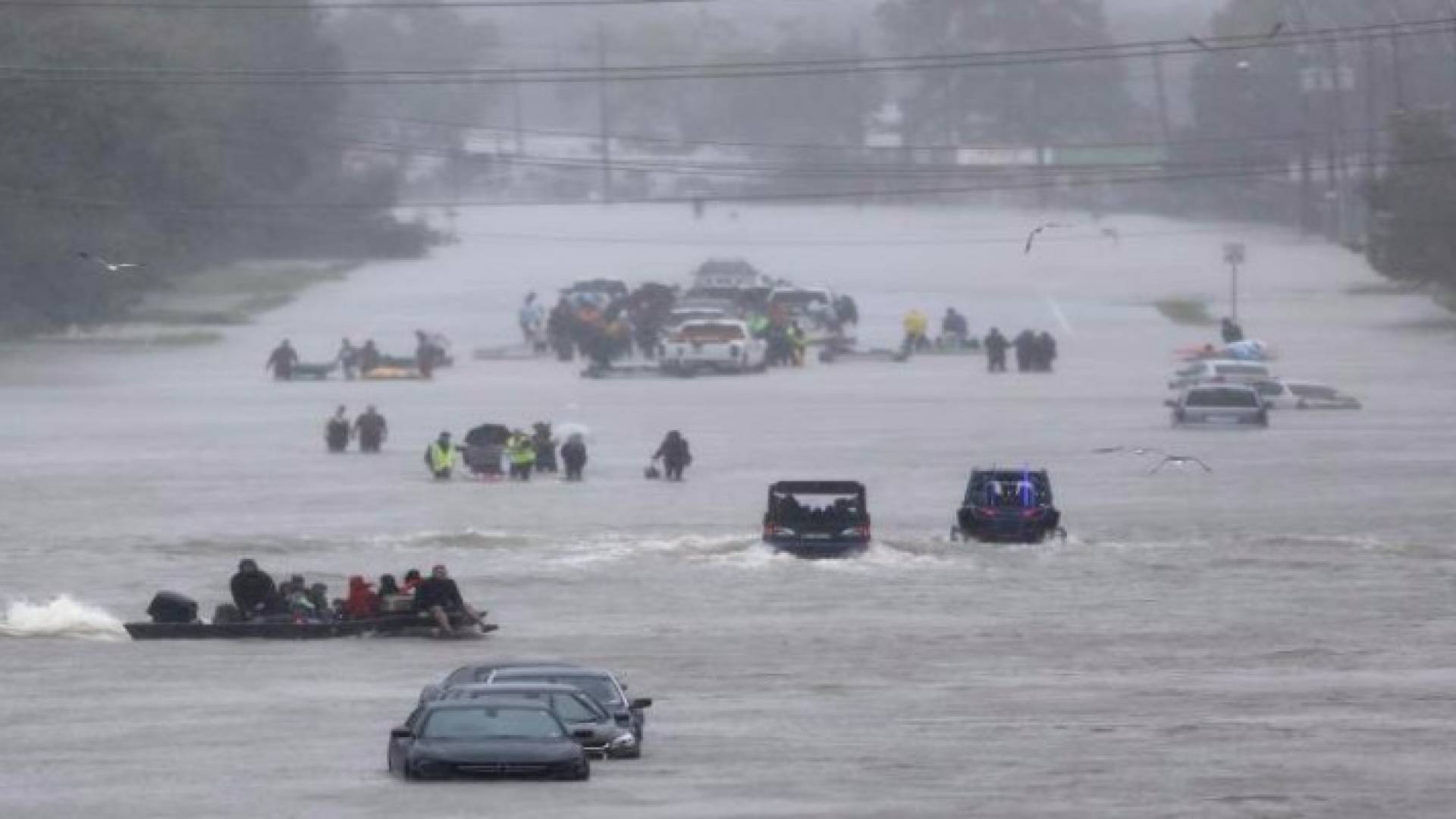 أمريكا تشكر عباس على عرضه بمساعدة متضرري إعصار "هارفي"