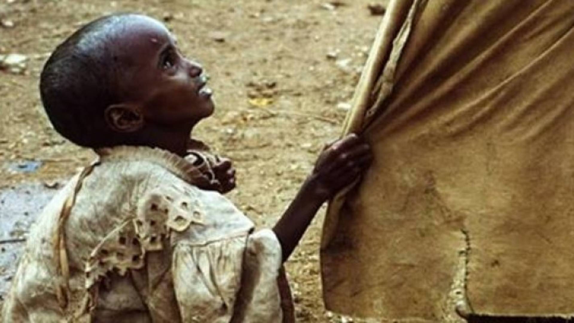 11% من سكان الارض جياع 