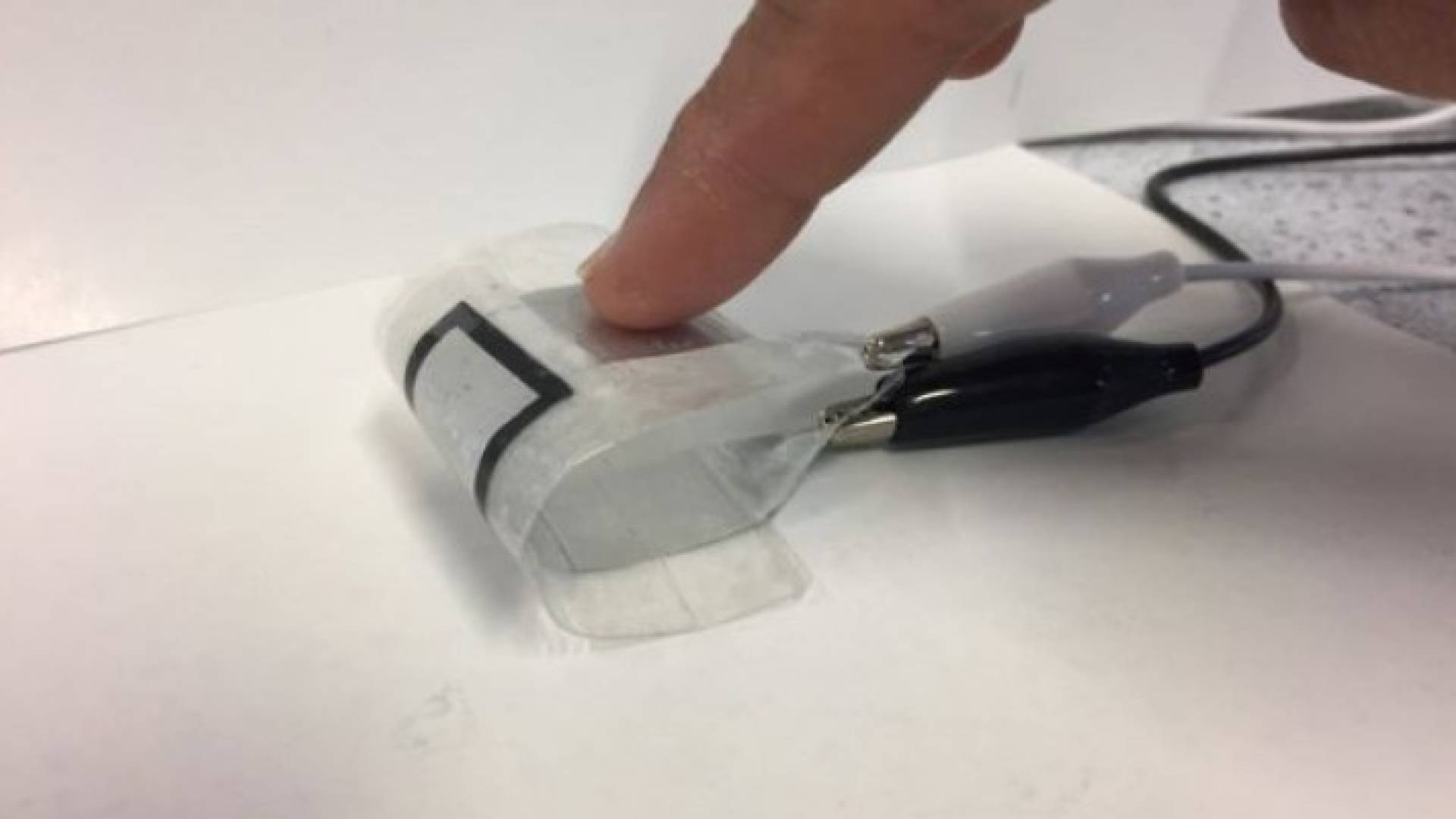 تصميم بطارية عضوية "قد تغير عالم زراعة الأعضاء"