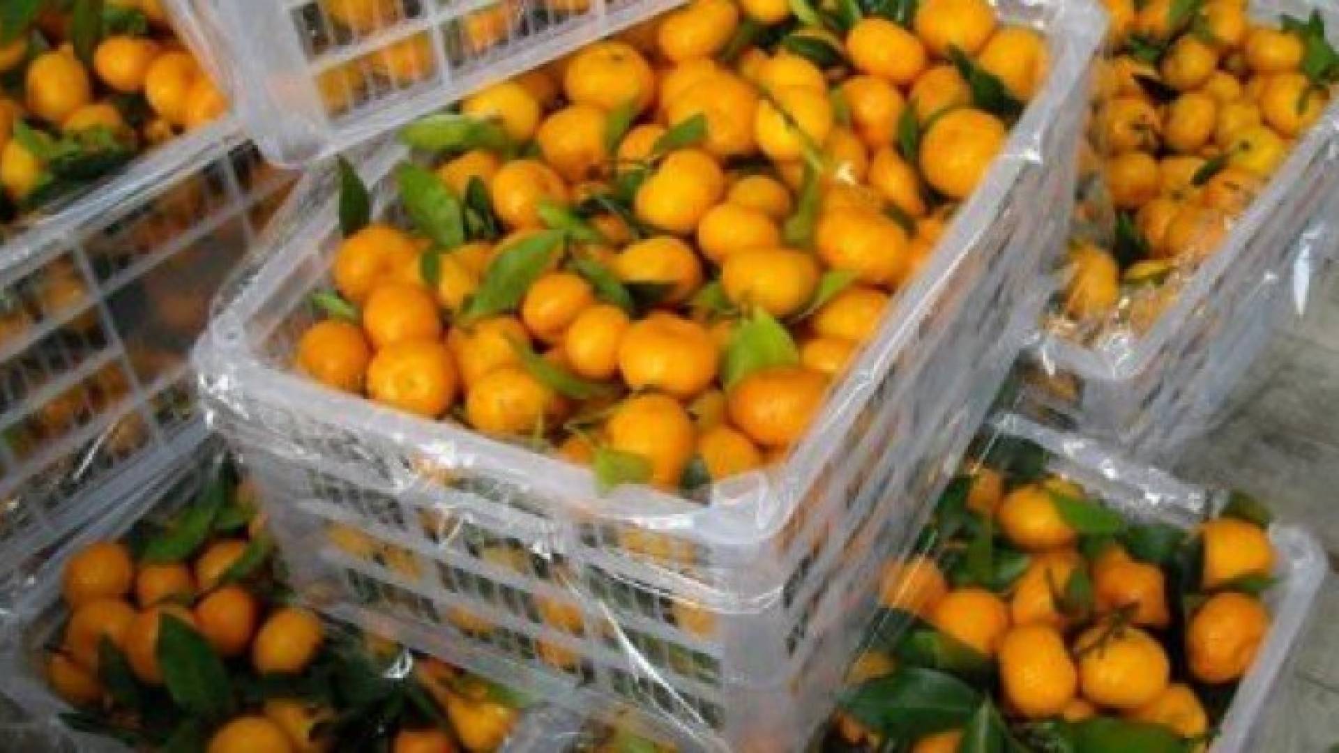 ارشيفية