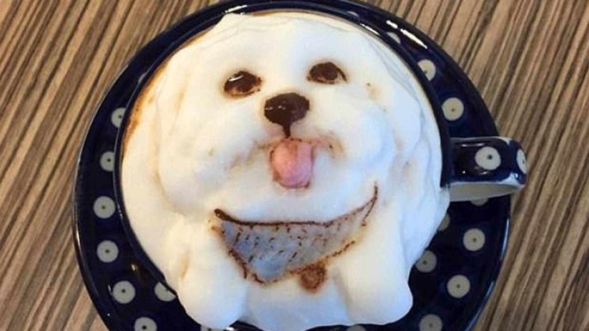 يقوم العاملون برسم جميع الحيوانات الأليفة 