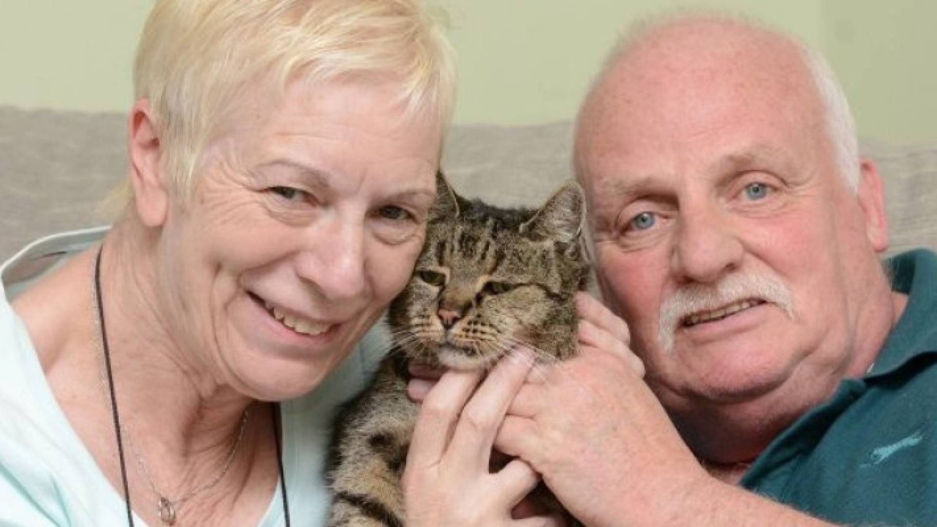 أقدم قط بالعالم عمره 32 عاما  