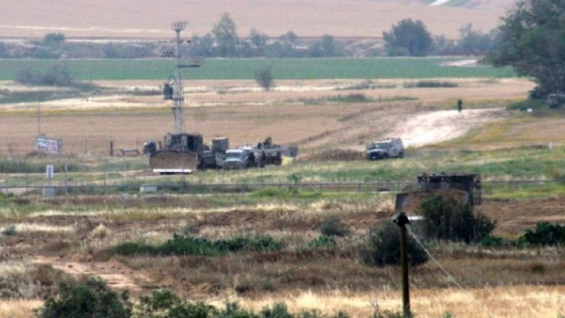 ارشيفية