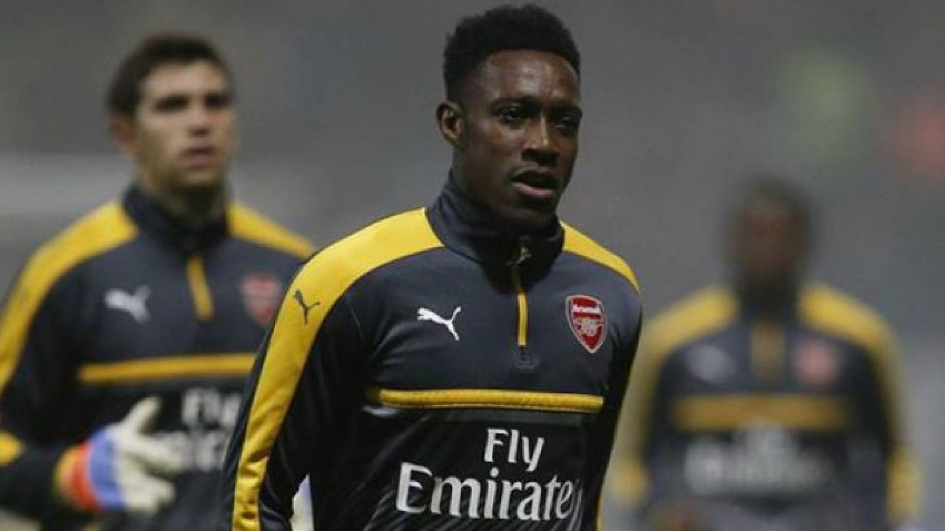 داني ويلبيك