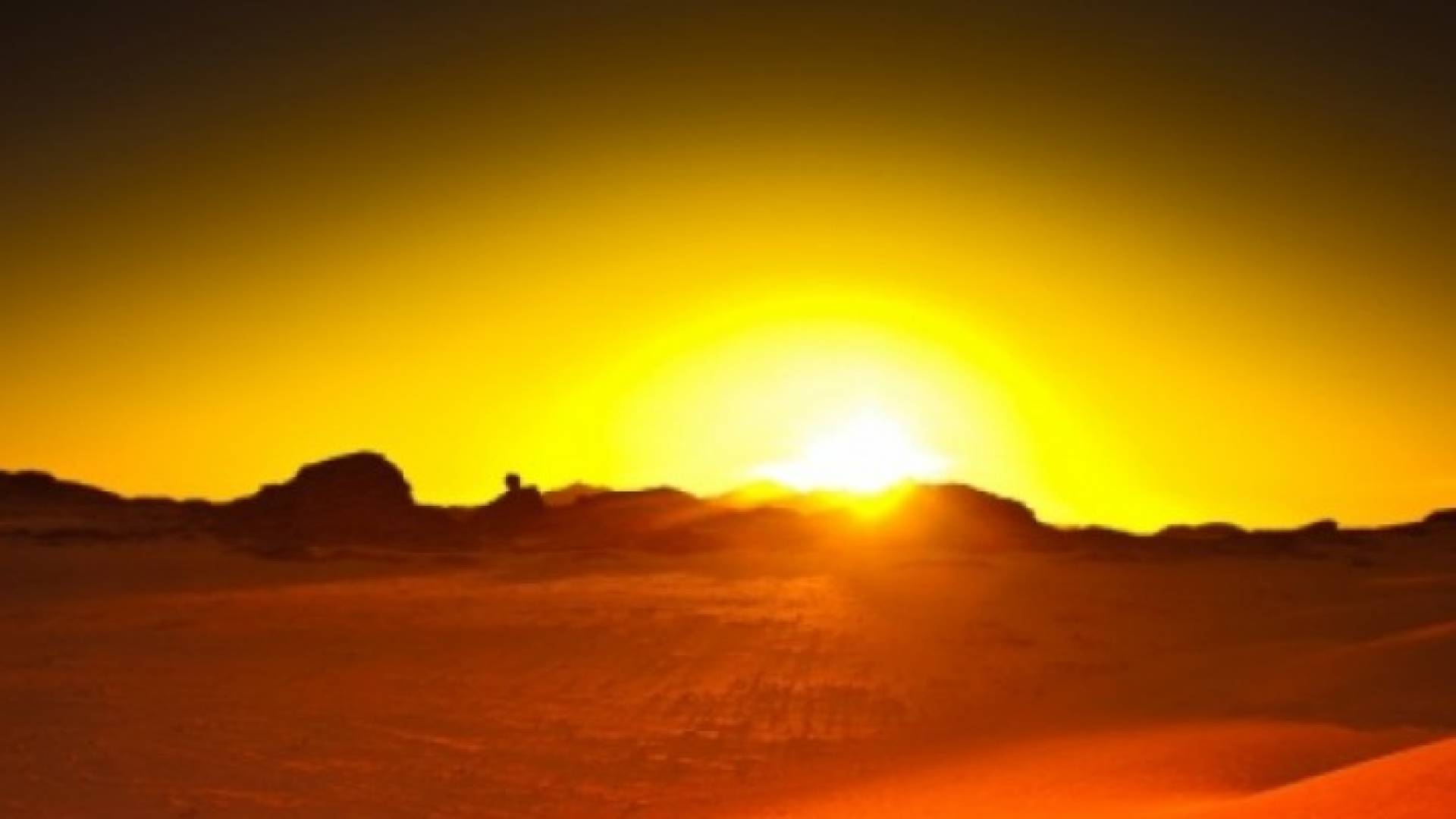 ارشيفية