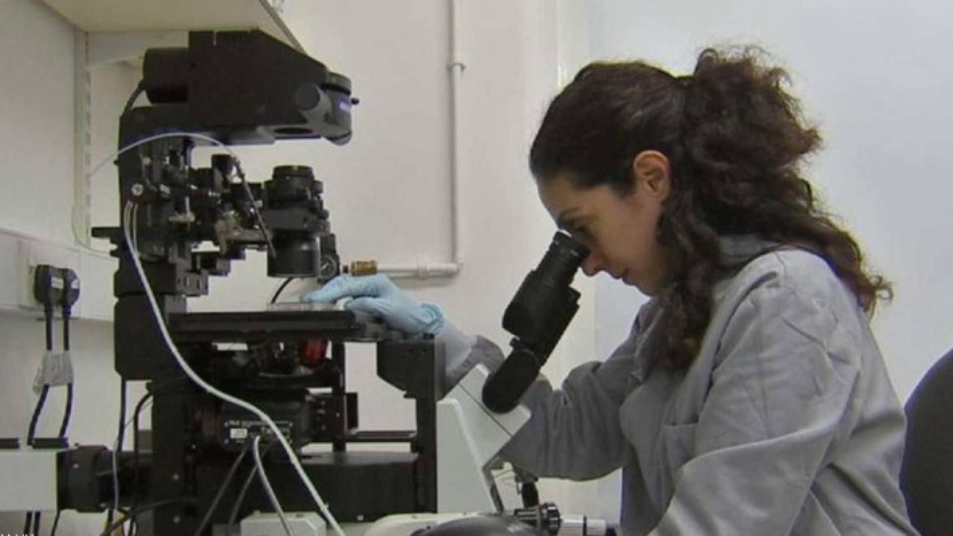 دكتور كاثي نياكان أحد فريق العمل