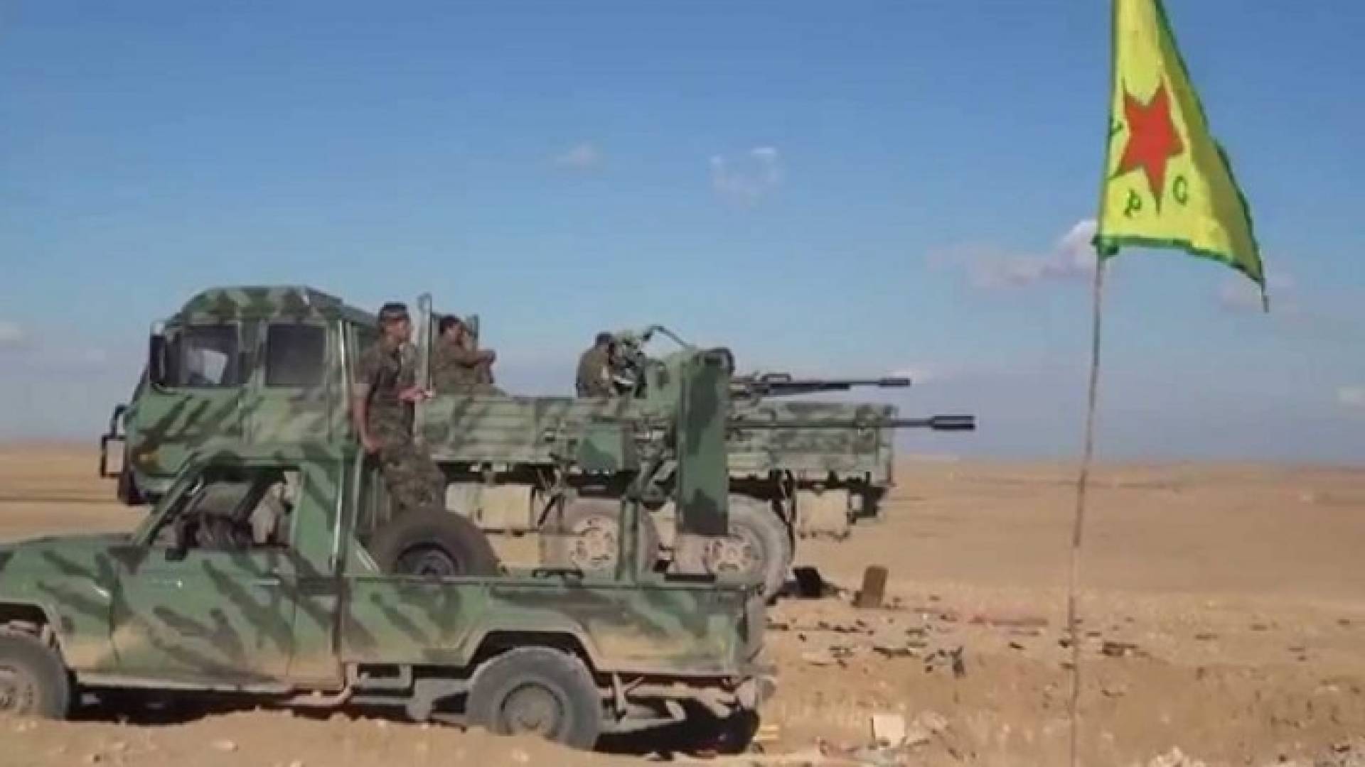 ارشيفية