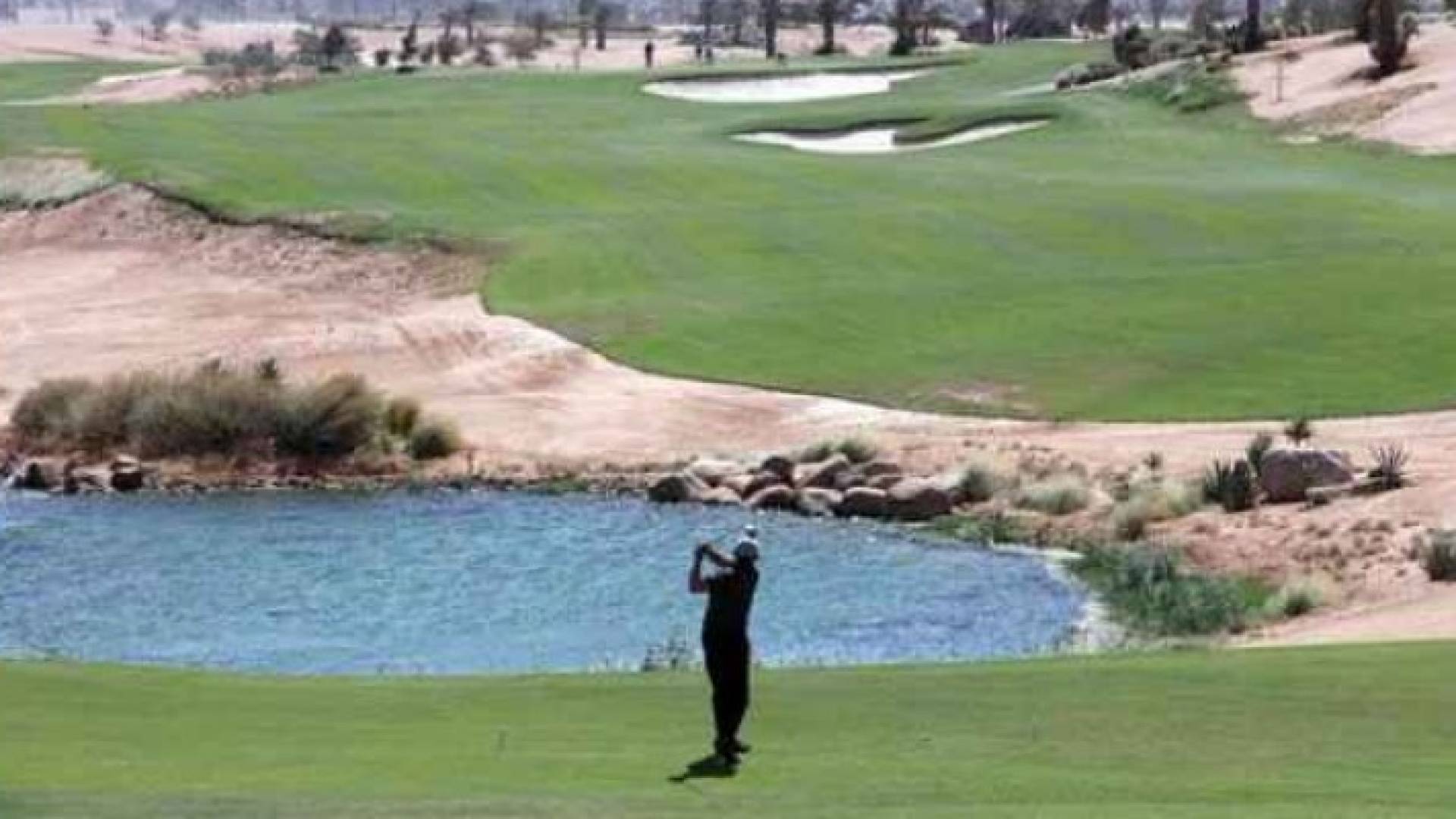 واحة آيلة في العقبة 