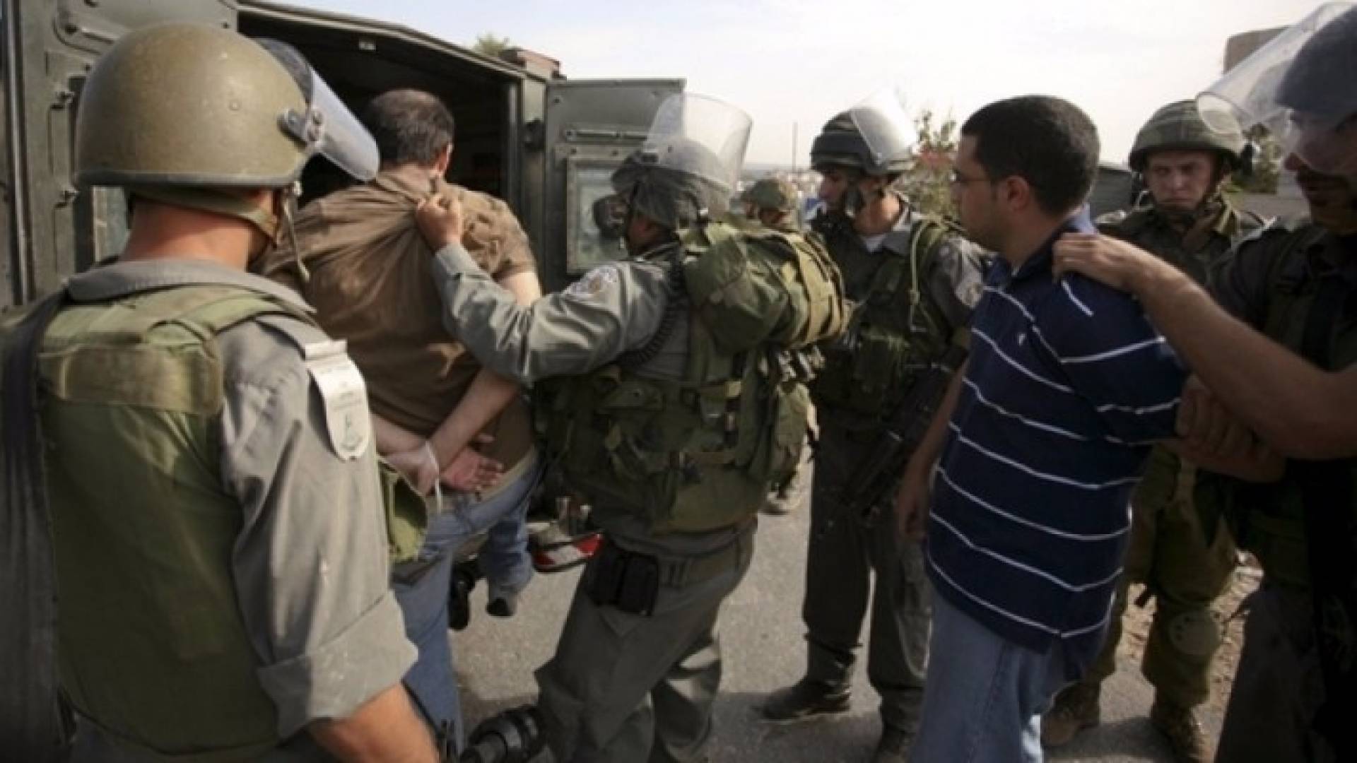 ارشيفية