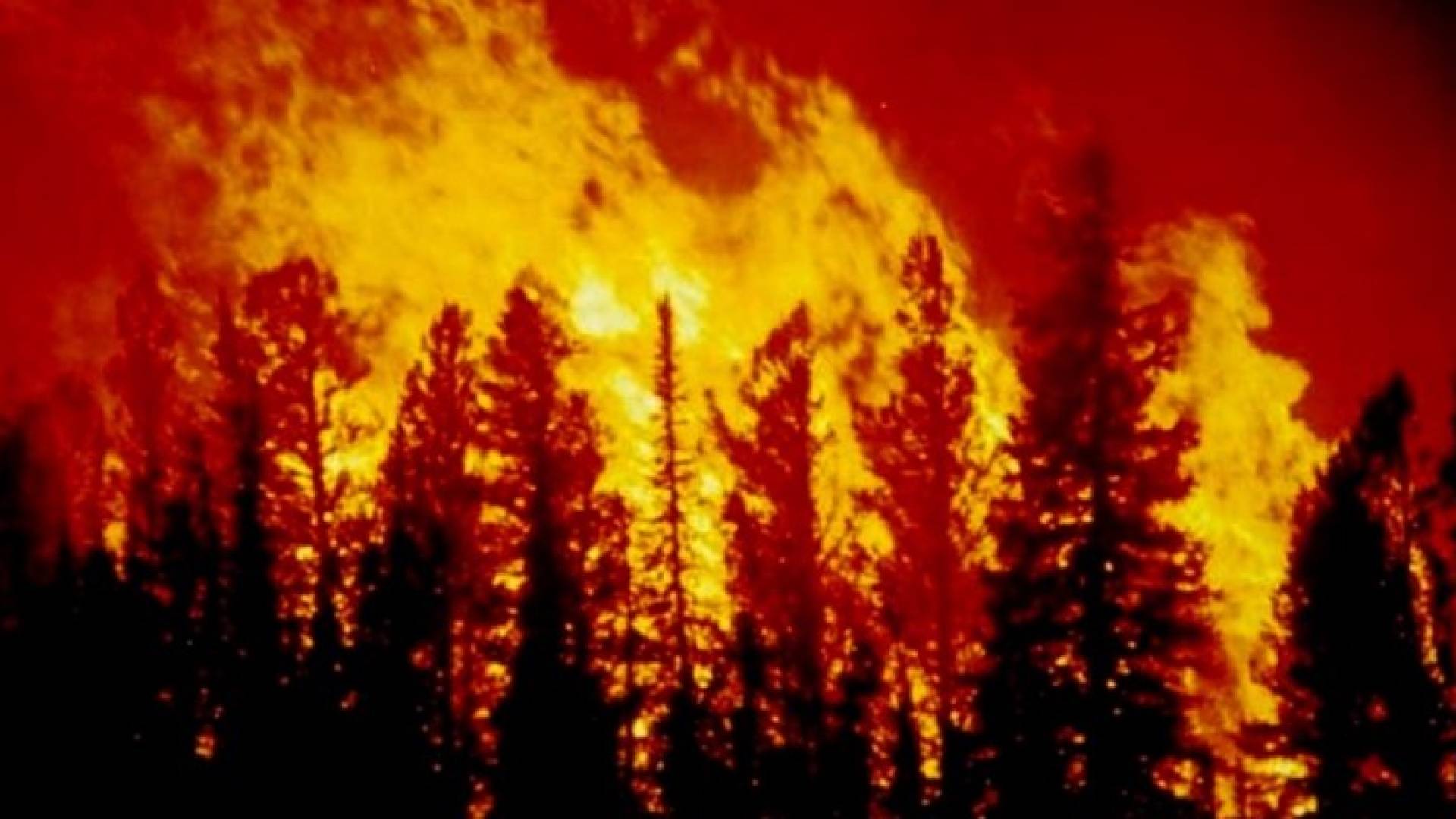 حرائق تجتاح كاليفورنيا تجبر 1500 شخص على الفرار