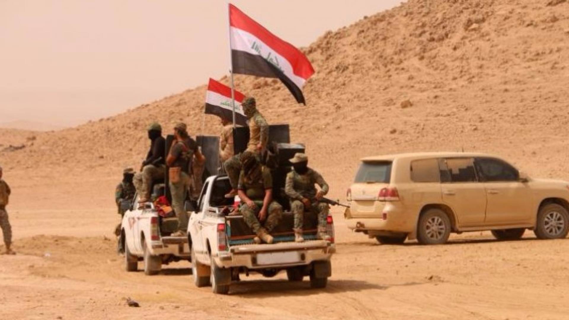 ارشيفية